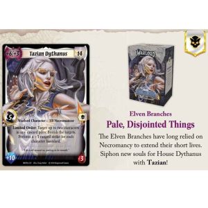 Warlord---Saga-of-the-Storm---Into-the-Accordlands-Starter-Deck-Elven Branches---EN